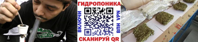 цены   Электросталь  Канабис Ganja 